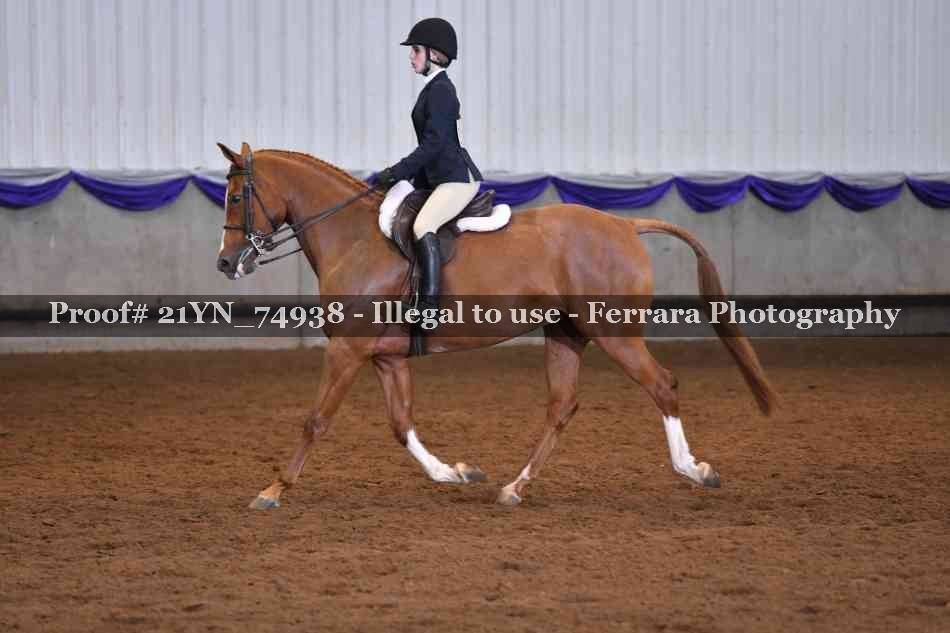 Proof 21YN_74938