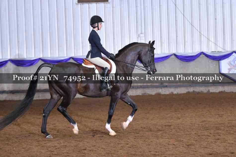 Proof 21YN_74952