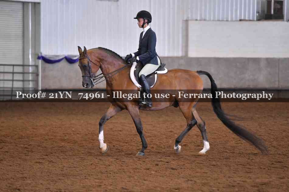 Proof 21YN_74961