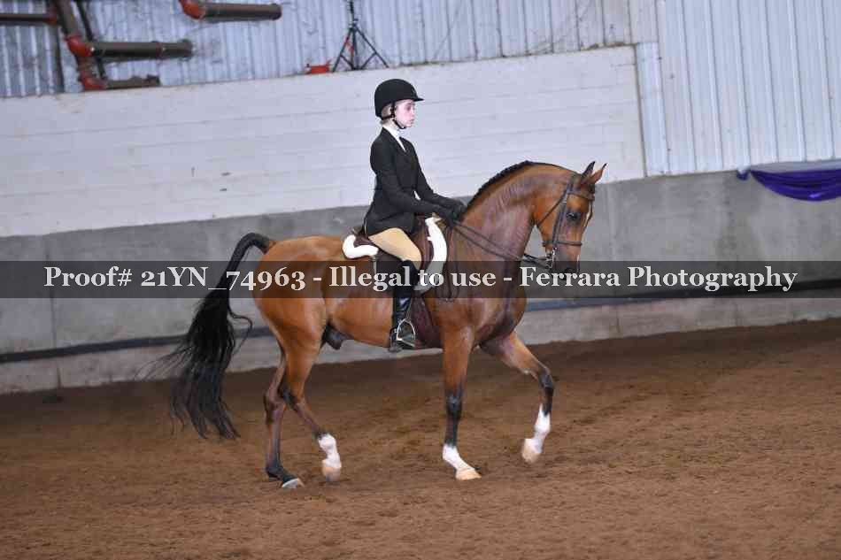 Proof 21YN_74963