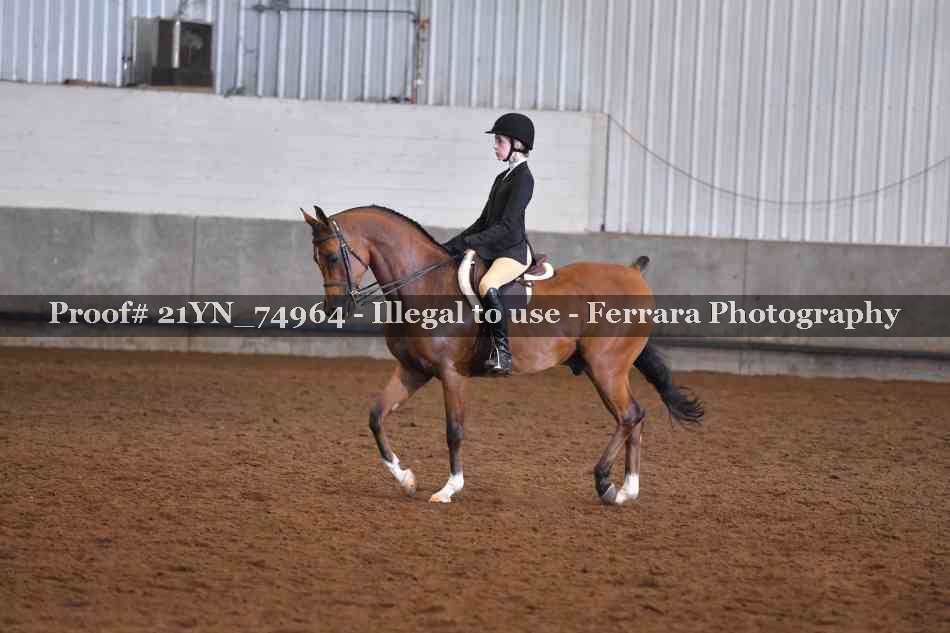 Proof 21YN_74964