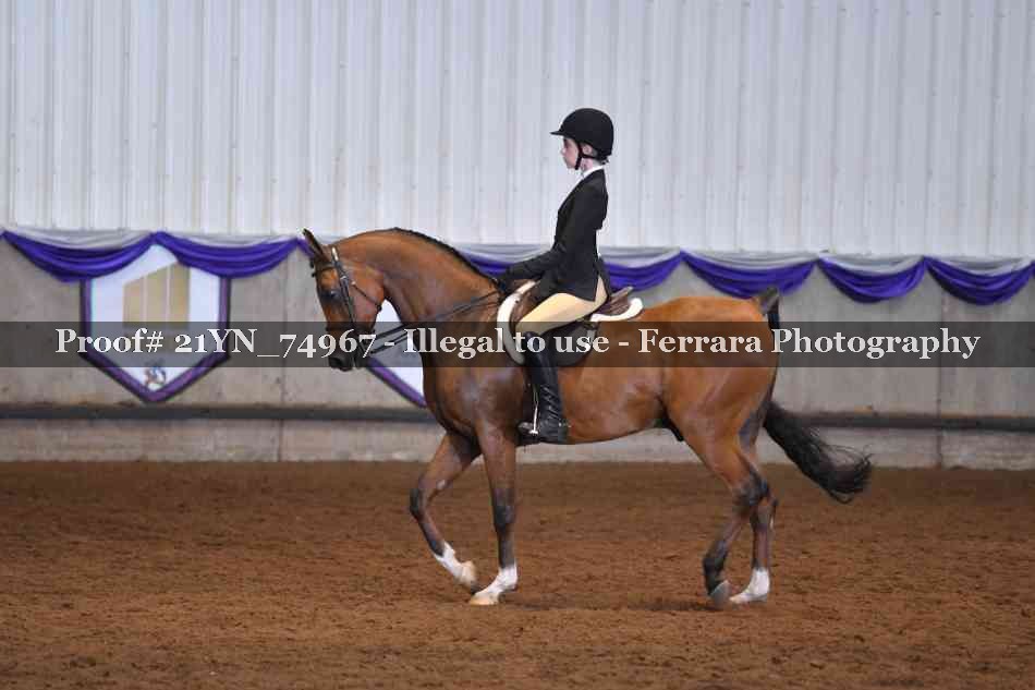 Proof 21YN_74967