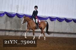 21YN_75001 proof