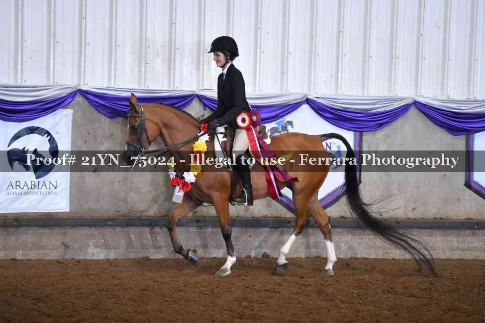 Proof 21YN_75024