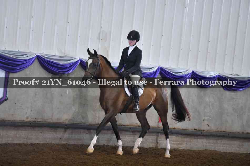 Proof 21YN_61046