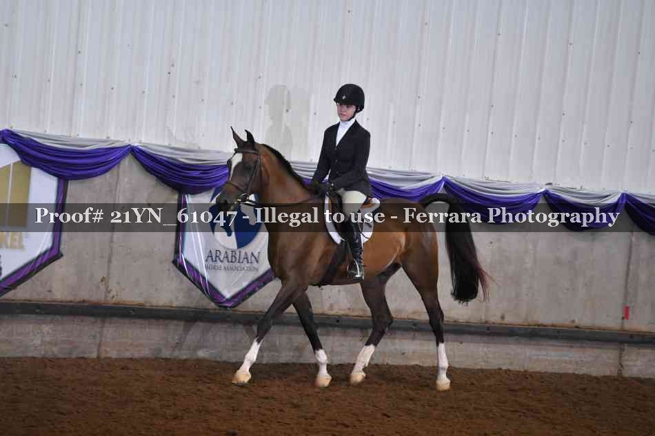 Proof 21YN_61047