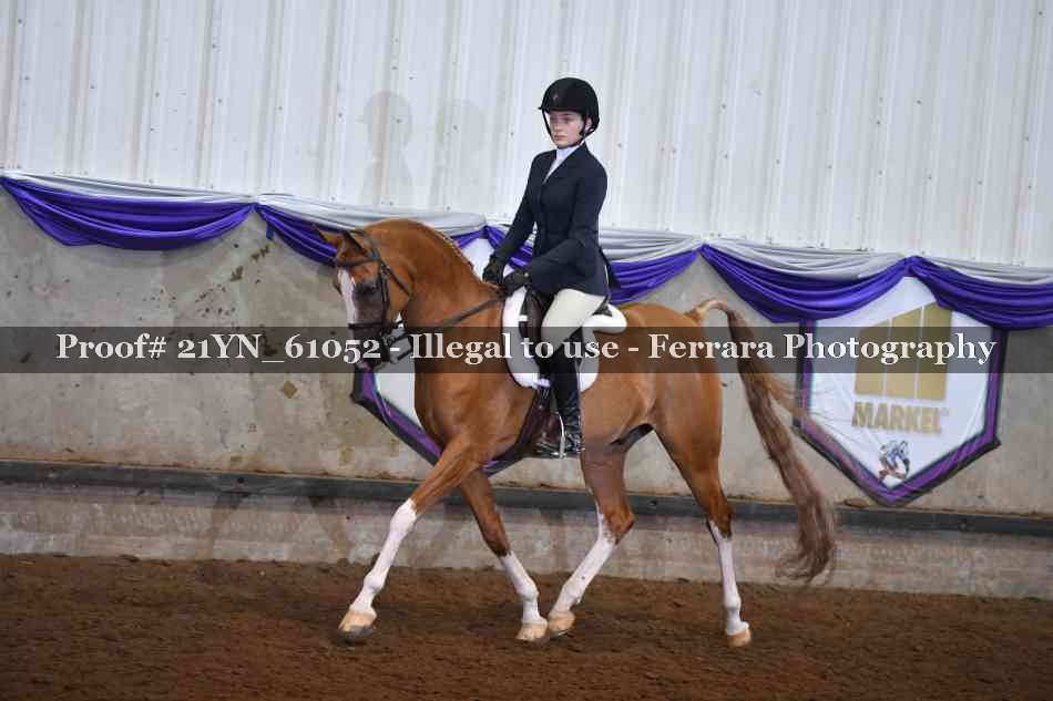 Proof 21YN_61052