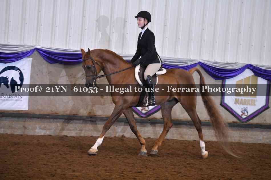 Proof 21YN_61053