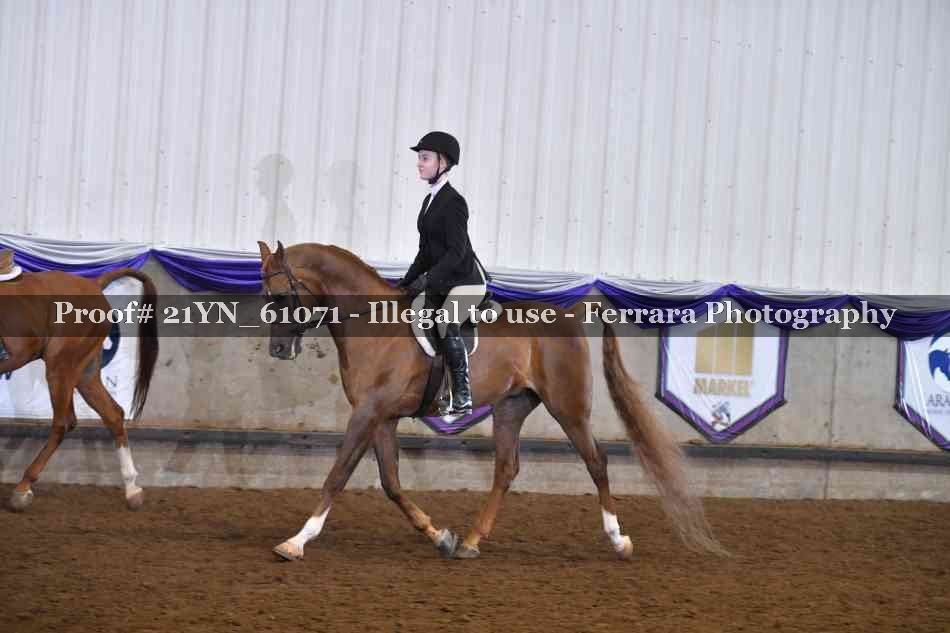 Proof 21YN_61071