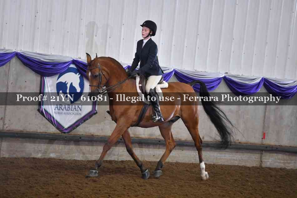 Proof 21YN_61081