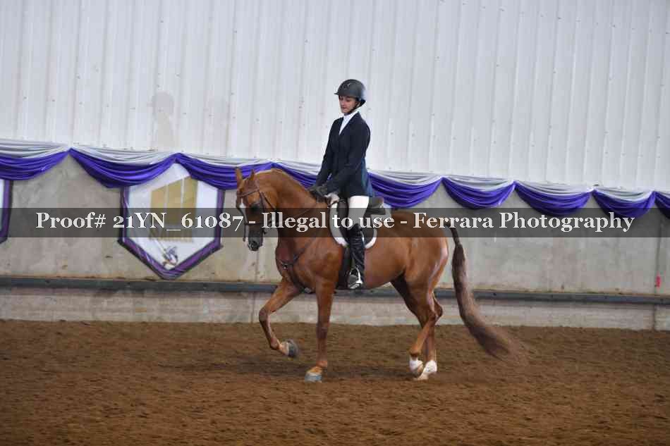 Proof 21YN_61087