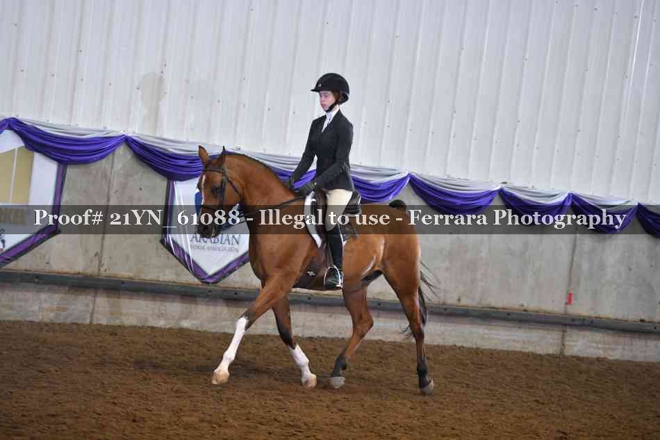 Proof 21YN_61088