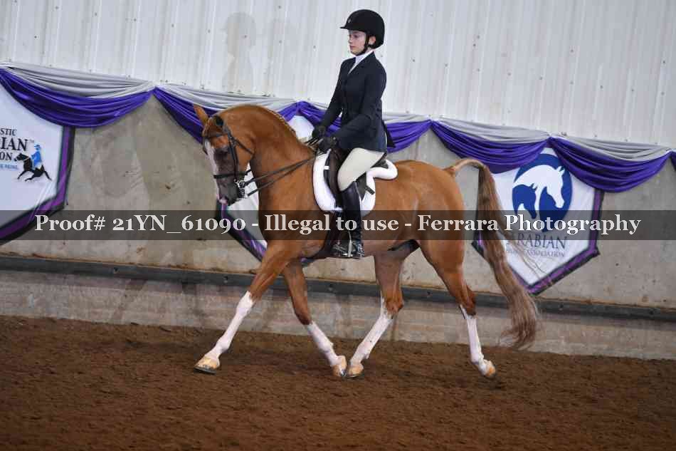 Proof 21YN_61090