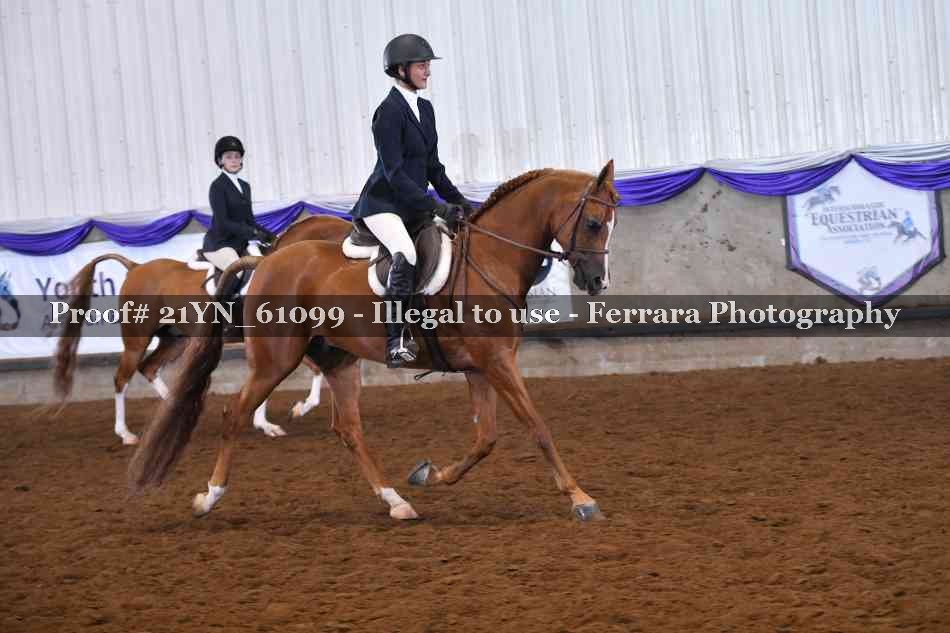 Proof 21YN_61099