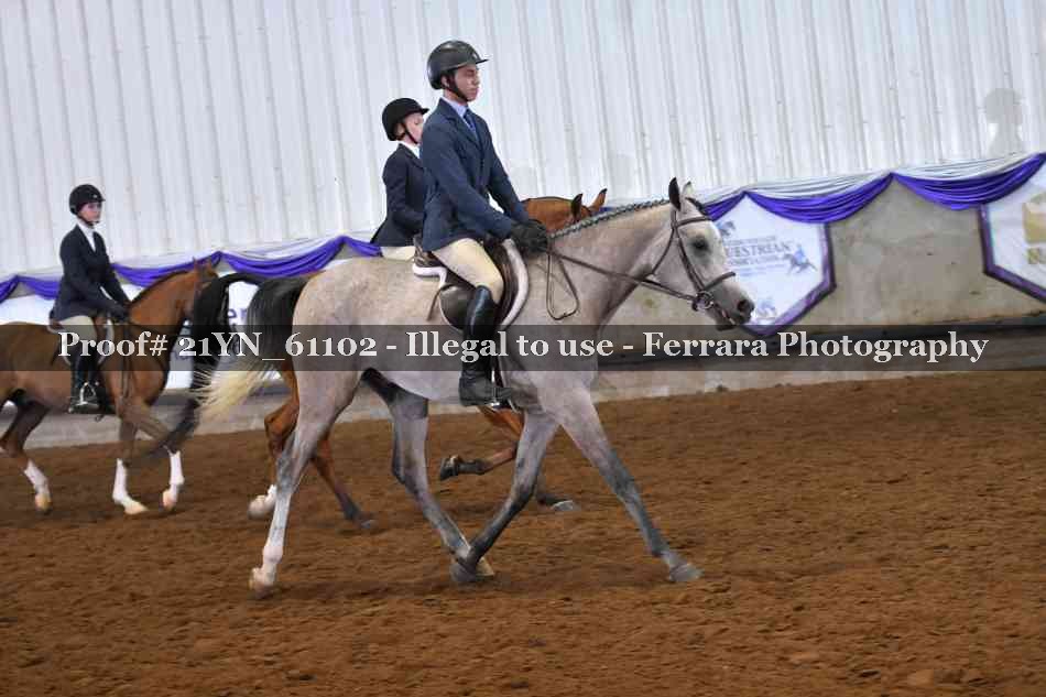 Proof 21YN_61102