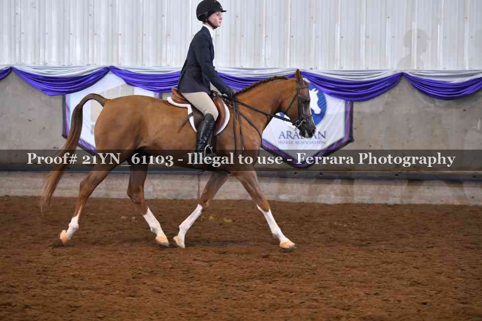 Proof 21YN_61103