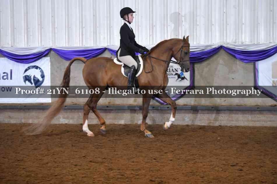 Proof 21YN_61108