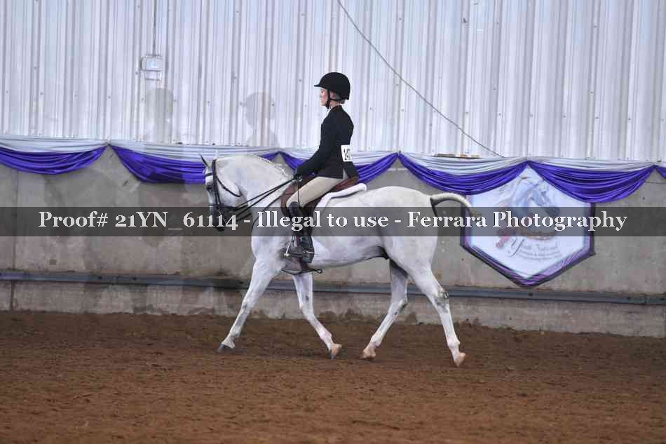 Proof 21YN_61114