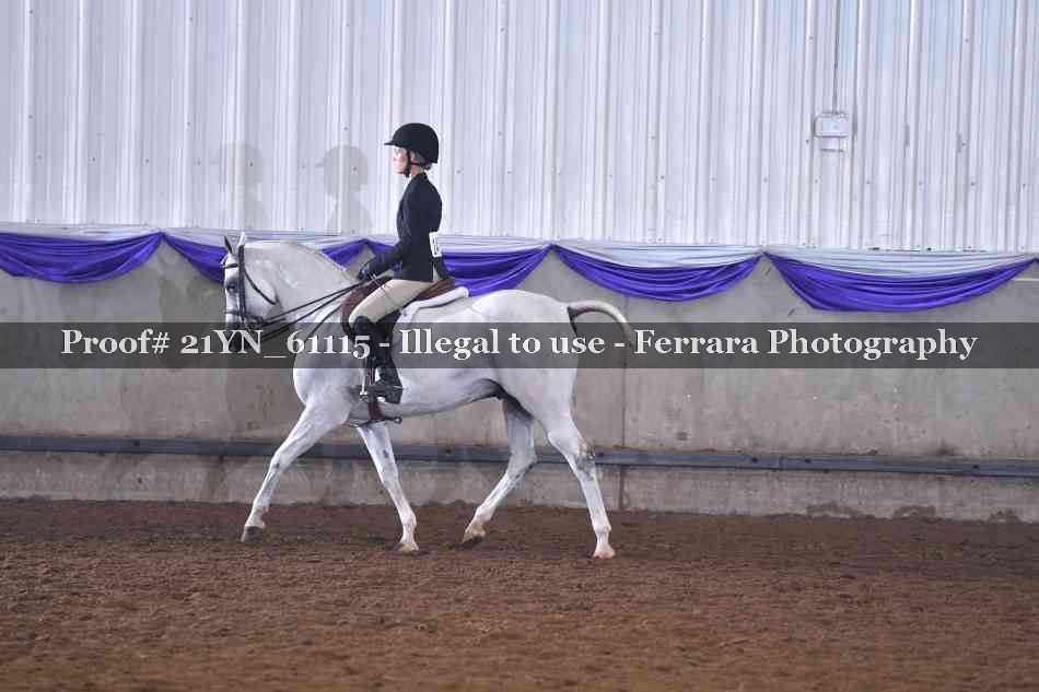 Proof 21YN_61115