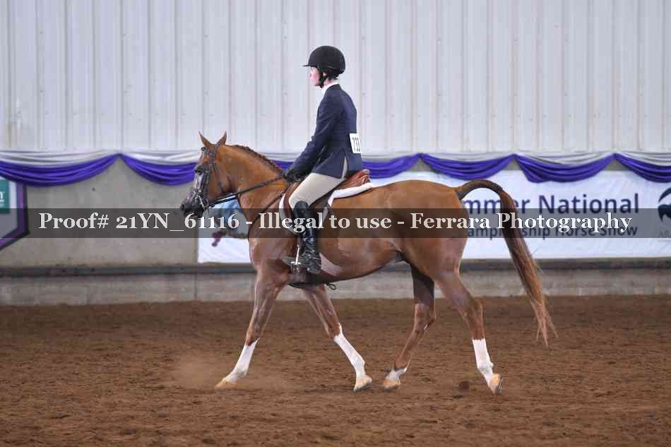 Proof 21YN_61116