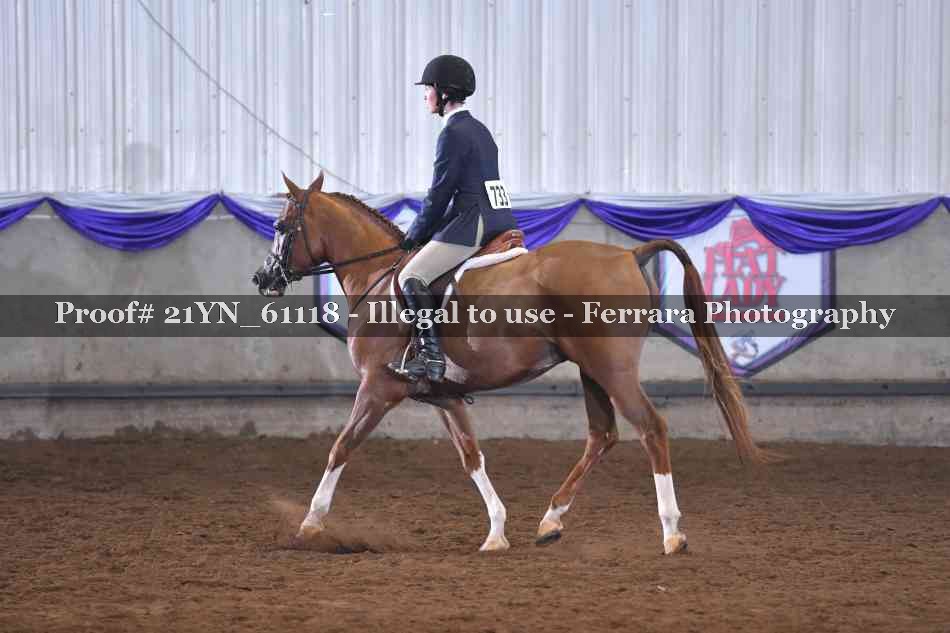 Proof 21YN_61118