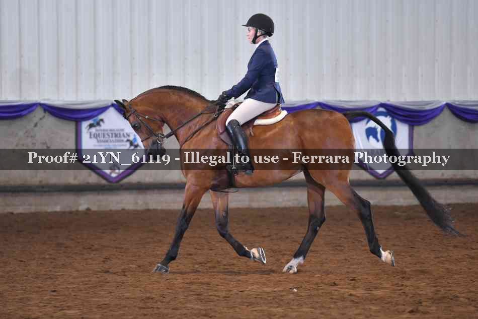 Proof 21YN_61119