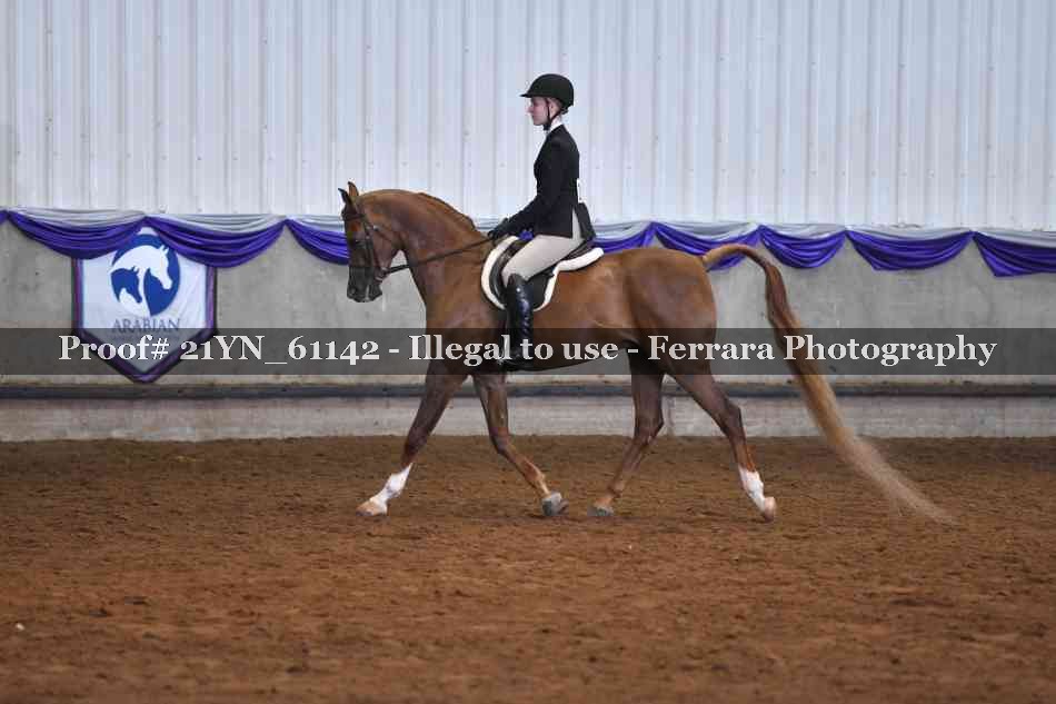 Proof 21YN_61142