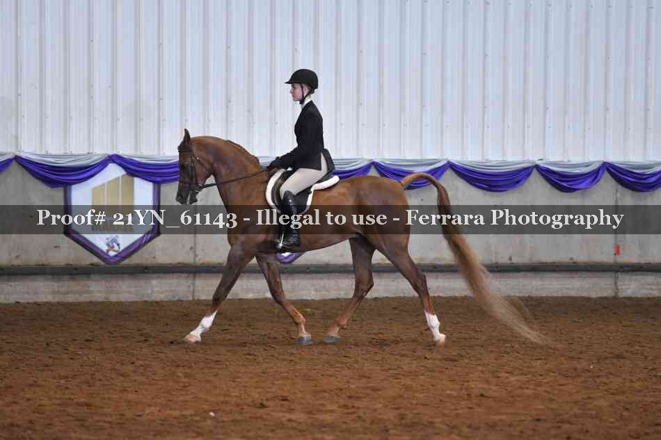 Proof 21YN_61143