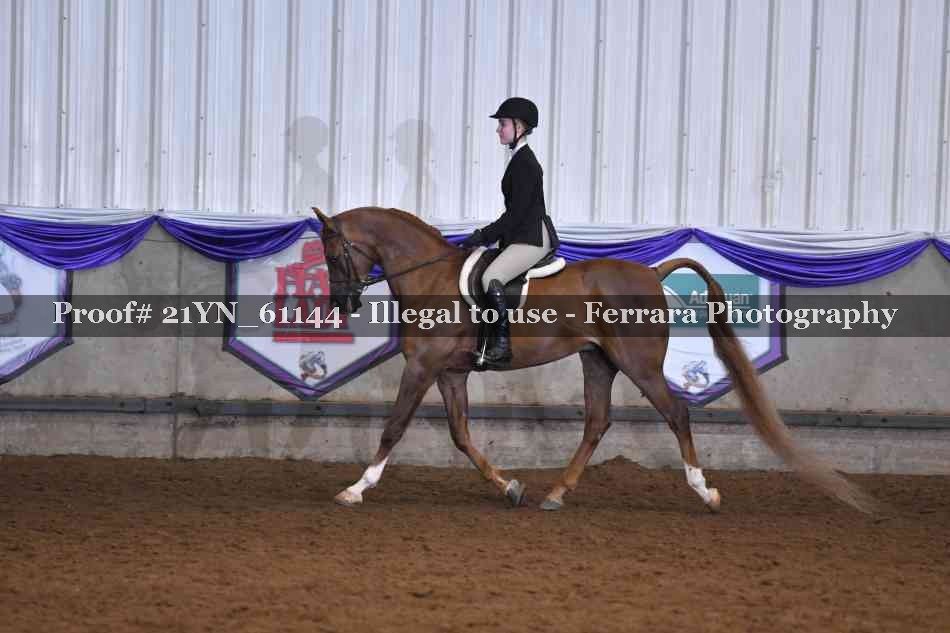 Proof 21YN_61144