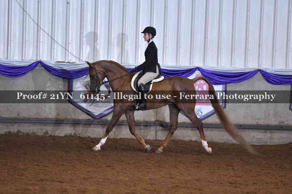 Proof 21YN_61145