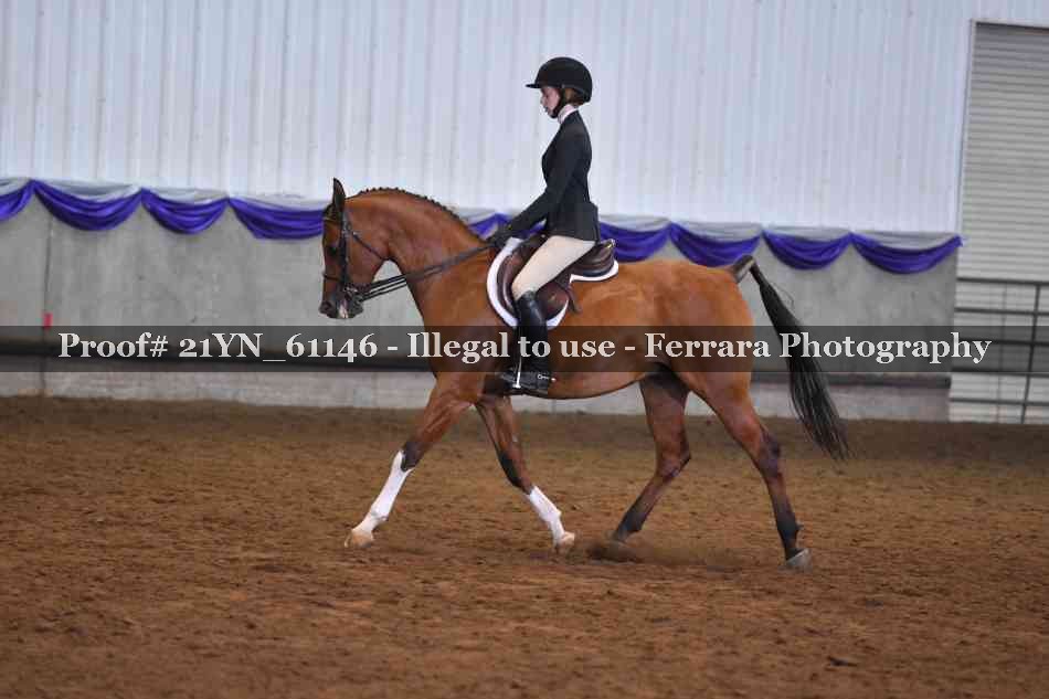 Proof 21YN_61146