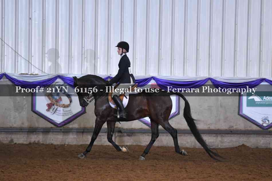 Proof 21YN_61156