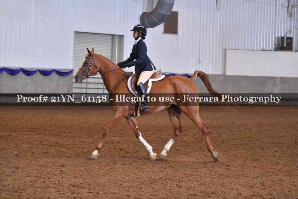 Proof 21YN_61158