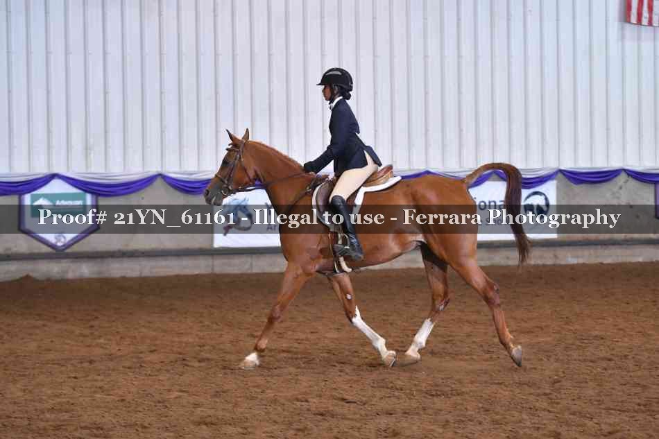 Proof 21YN_61161