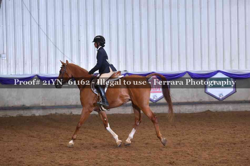 Proof 21YN_61162