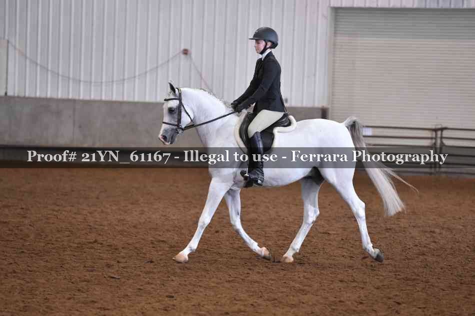 Proof 21YN_61167