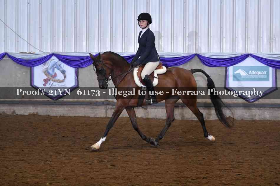 Proof 21YN_61173