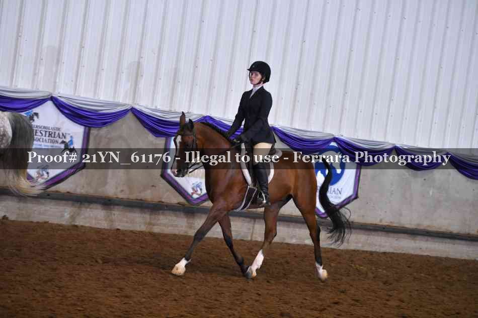 Proof 21YN_61176
