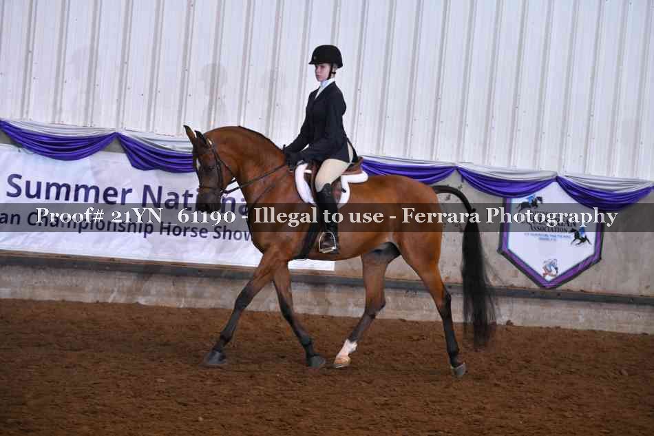Proof 21YN_61190