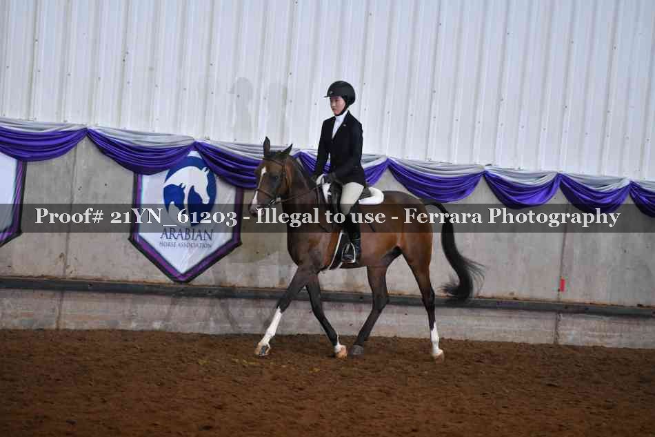Proof 21YN_61203