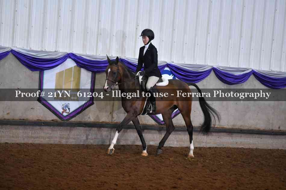 Proof 21YN_61204