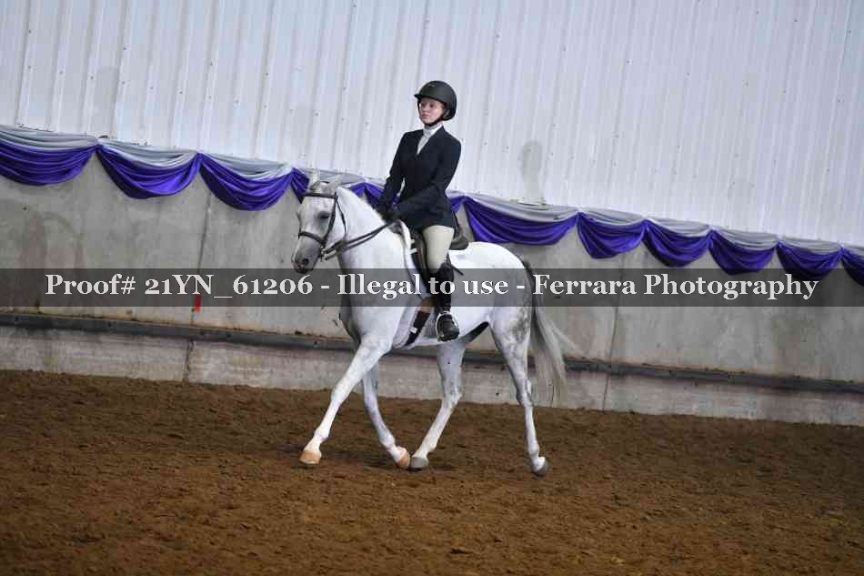 Proof 21YN_61206