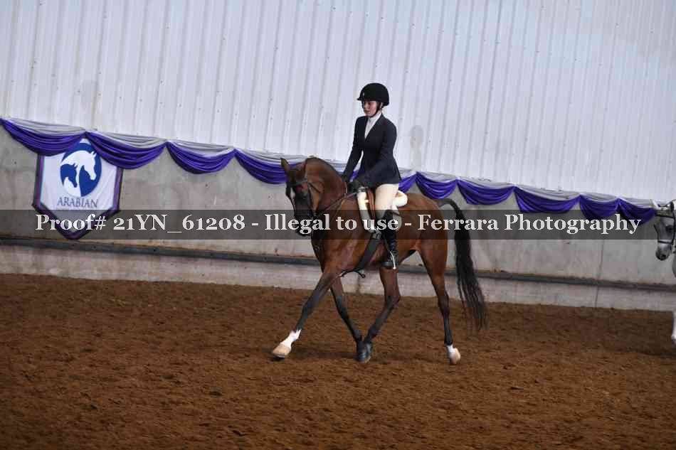 Proof 21YN_61208