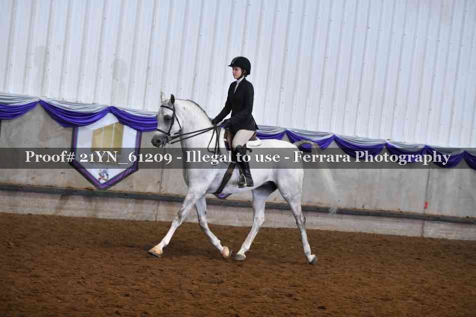 Proof 21YN_61209