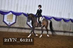 21YN_61211 proof