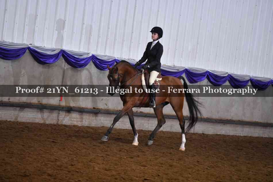 Proof 21YN_61213