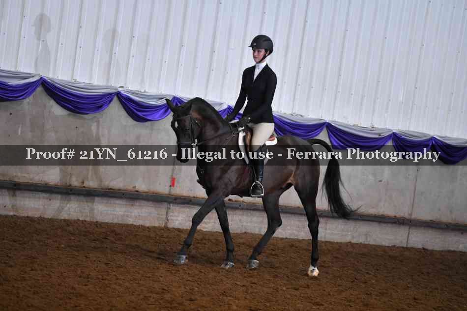 Proof 21YN_61216