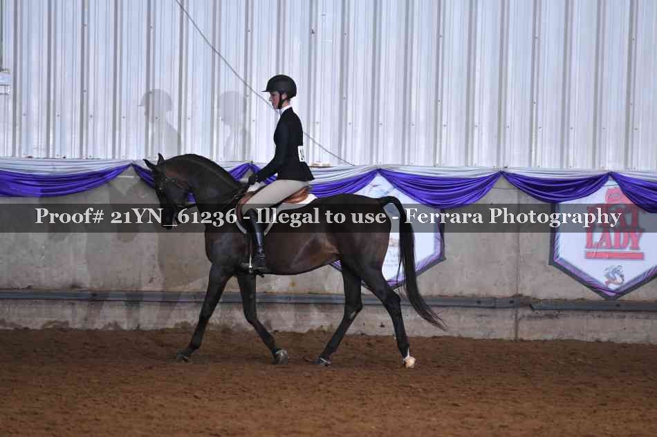 Proof 21YN_61236