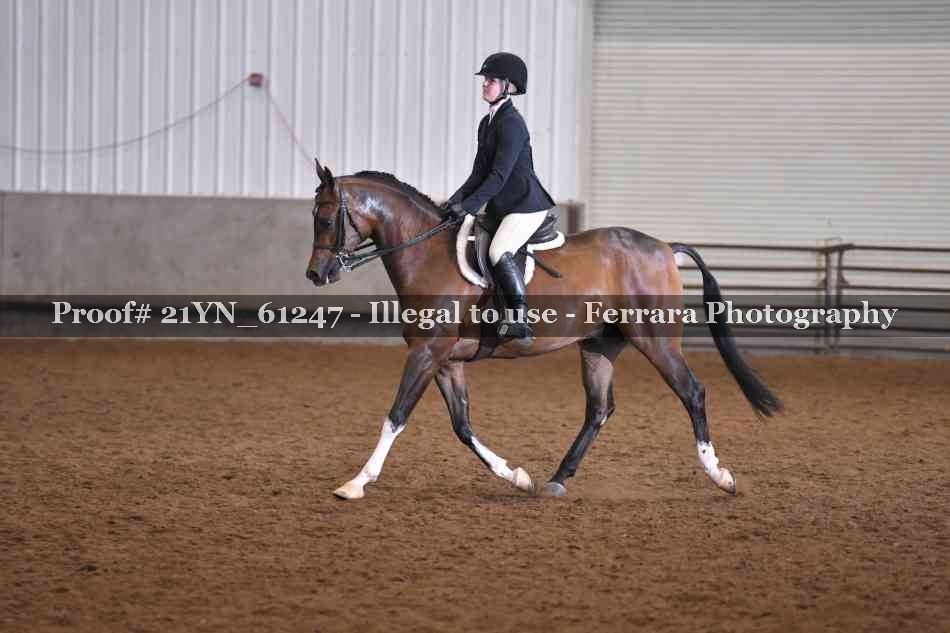 Proof 21YN_61247