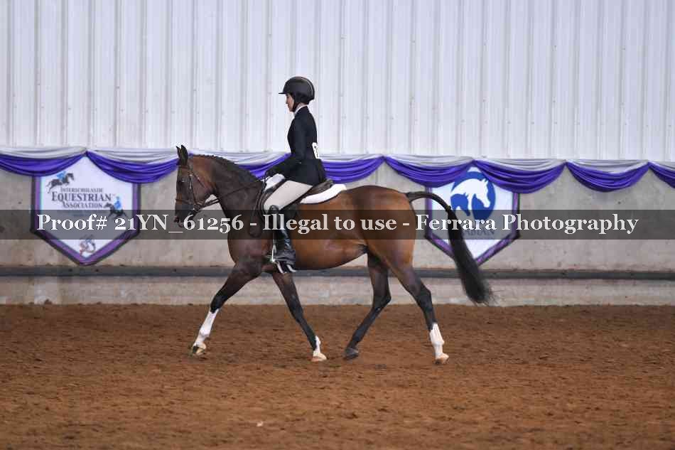 Proof 21YN_61256